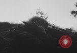 Image of Germans battle Soviets Poland WW2 Poland, 1945, second 19 stock footage video 65675080057
