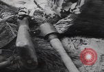 Image of German troops Eastern Front Eastern Front European Theater, 1942, second 9 stock footage video 65675080081