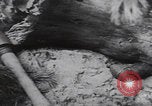 Image of German troops Eastern Front Eastern Front European Theater, 1942, second 10 stock footage video 65675080081