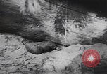 Image of German troops Eastern Front Eastern Front European Theater, 1942, second 11 stock footage video 65675080081
