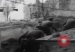 Image of German troops Eastern Front Eastern Front European Theater, 1942, second 59 stock footage video 65675080081