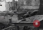 Image of German troops Eastern Front Eastern Front European Theater, 1942, second 60 stock footage video 65675080081