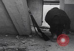 Image of German troops Eastern Front Eastern Front European Theater, 1942, second 62 stock footage video 65675080081