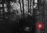 Image Merode épave Allemagne WW2 Merode Allemagne, 1944, de la seconde 21 séquences d'archives historiques vidéo 65675080086