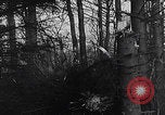 Image Merode épave Allemagne WW2 Merode Allemagne, 1944, de la seconde 22 séquences d'archives historiques vidéo 65675080086