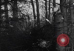 Image Merode épave Allemagne WW2 Merode Allemagne, 1944, de la seconde 23 séquences d'archives historiques vidéo 65675080086