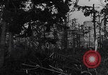 Image Merode épave Allemagne WW2 Merode Allemagne, 1944, de la seconde 25 séquences d'archives historiques vidéo 65675080086