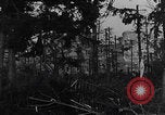 Image Merode épave Allemagne WW2 Merode Allemagne, 1944, de la seconde 28 séquences d'archives historiques vidéo 65675080086