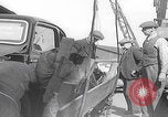 Standbild 1947 ausgelieferte Morris Eight Series E-Limousinen Vereinigtes Königreich, 1947, aus Sekunde 23 historischem Filmmaterial Videoclip 65675080089