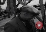 Standbild UK Autos und Lastwagen mit Kran gehoben Vereinigtes Königreich, 1939, aus Sekunde 55 historischem Filmmaterial Videoclip 65675080091