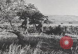 Image of German soldiers arrive Battle of Crete Crete Greece, 1941, second 36 stock footage video 65675080095