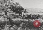 Image of German soldiers arrive Battle of Crete Crete Greece, 1941, second 37 stock footage video 65675080095