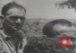 Image of Germans invade Crete capture POWs Crete Greece, 1941, second 14 stock footage video 65675080096