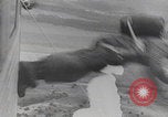 Image of German paratroopers jump Germany, 1942, second 58 stock footage video 65675080104