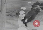 Image of German paratroopers jump Germany, 1942, second 60 stock footage video 65675080104