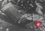 Image of Luftwaffe paratrooper meeting Germany, 1942, second 3 stock footage video 65675080107