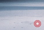 Image of Boeing B-29 bombers flying Europe, 1945, second 5 stock footage video 65675080122