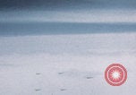 Image of Boeing B-29 bombers flying Europe, 1945, second 6 stock footage video 65675080122