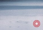 Image of Boeing B-29 bombers flying Europe, 1945, second 7 stock footage video 65675080122