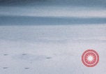 Image of Boeing B-29 bombers flying Europe, 1945, second 9 stock footage video 65675080122