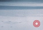 Image of Boeing B-29 bombers flying Europe, 1945, second 10 stock footage video 65675080122