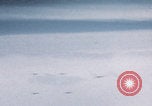 Image of Boeing B-29 bombers flying Europe, 1945, second 12 stock footage video 65675080122
