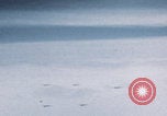Image of Boeing B-29 bombers flying Europe, 1945, second 13 stock footage video 65675080122