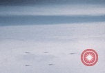 Image of Boeing B-29 bombers flying Europe, 1945, second 14 stock footage video 65675080122
