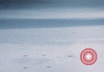 Image of Boeing B-29 bombers flying Europe, 1945, second 15 stock footage video 65675080122