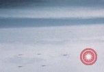 Image of Boeing B-29 bombers flying Europe, 1945, second 16 stock footage video 65675080122