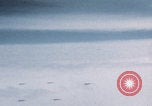 Image of Boeing B-29 bombers flying Europe, 1945, second 17 stock footage video 65675080122