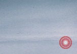 Image of Boeing B-29 bombers flying Europe, 1945, second 32 stock footage video 65675080122