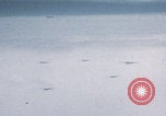 Image of Boeing B-29 bombers flying Europe, 1945, second 38 stock footage video 65675080122