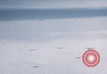 Image of Boeing B-29 bombers flying Europe, 1945, second 39 stock footage video 65675080122