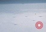 Image of Boeing B-29 bombers flying Europe, 1945, second 41 stock footage video 65675080122
