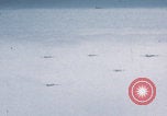 Image of Boeing B-29 bombers flying Europe, 1945, second 43 stock footage video 65675080122