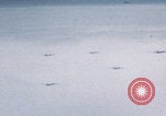 Image of Boeing B-29 bombers flying Europe, 1945, second 46 stock footage video 65675080122