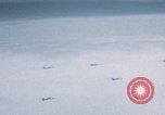 Image of Boeing B-29 bombers flying Europe, 1945, second 50 stock footage video 65675080122