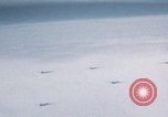 Image of Boeing B-29 bombers flying Europe, 1945, second 51 stock footage video 65675080122