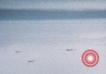 Image of Boeing B-29 bombers flying Europe, 1945, second 52 stock footage video 65675080122