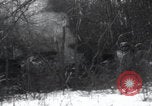 Image of P-47 Thunderbolt crash site Bissen Belgium, 1945, second 4 stock footage video 65675080130