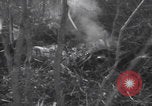 Image of P-47 Thunderbolt crash site Bissen Belgium, 1945, second 5 stock footage video 65675080130