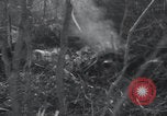 Image of P-47 Thunderbolt crash site Bissen Belgium, 1945, second 6 stock footage video 65675080130