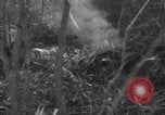 Image of P-47 Thunderbolt crash site Bissen Belgium, 1945, second 7 stock footage video 65675080130