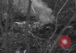 Image of P-47 Thunderbolt crash site Bissen Belgium, 1945, second 8 stock footage video 65675080130