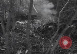 Image of P-47 Thunderbolt crash site Bissen Belgium, 1945, second 9 stock footage video 65675080130