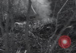 Image of P-47 Thunderbolt crash site Bissen Belgium, 1945, second 10 stock footage video 65675080130