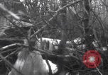 Image of P-47 Thunderbolt crash site Bissen Belgium, 1945, second 11 stock footage video 65675080130