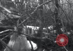 Image of P-47 Thunderbolt crash site Bissen Belgium, 1945, second 12 stock footage video 65675080130