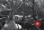 Image of P-47 Thunderbolt crash site Bissen Belgium, 1945, second 13 stock footage video 65675080130